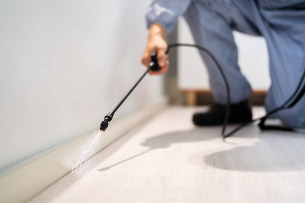 Licensed Pest Control service in Groveton, VA - Show Me Pest Control